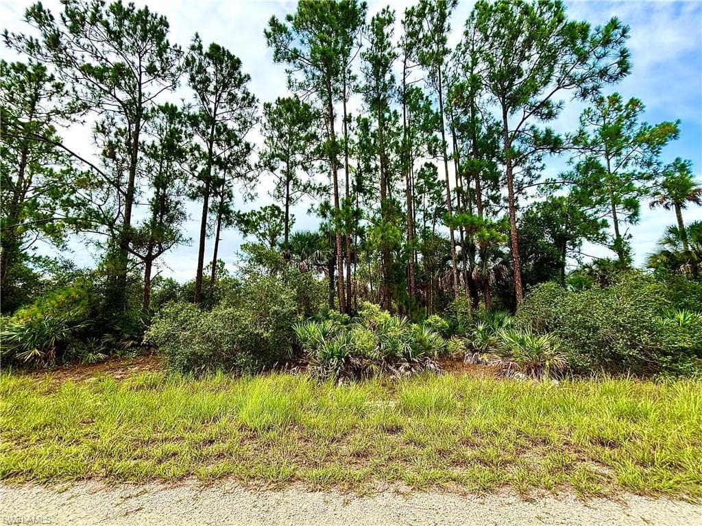 4203 E 27th ST ALVA, FL 33920