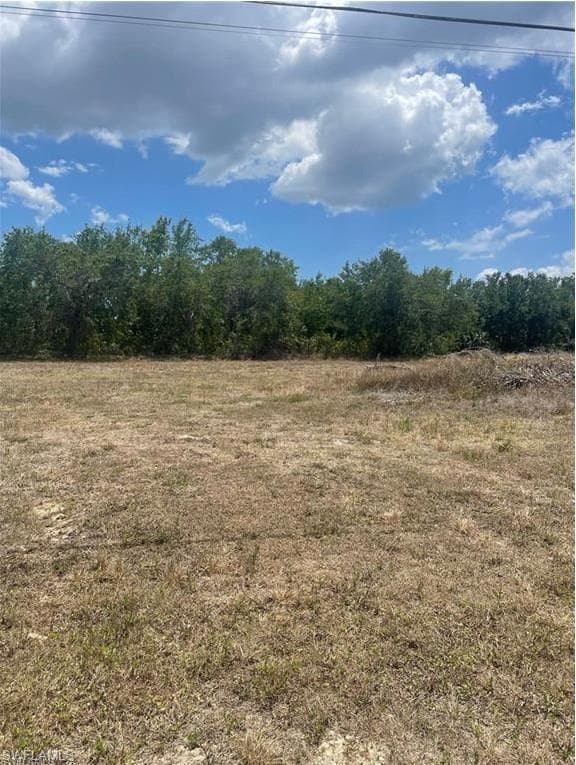 2310 16th TER CAPE CORAL, FL 33991