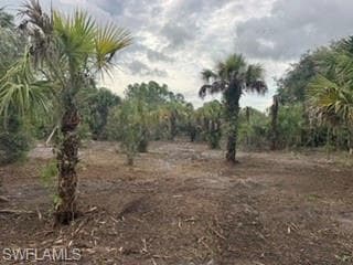 xx 37th AVE NW NAPLES, FL 34120