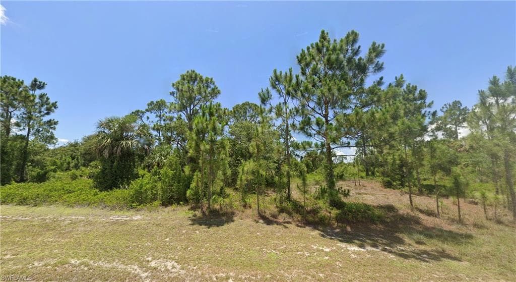 966 Chadwick ST LEHIGH ACRES, FL 33974