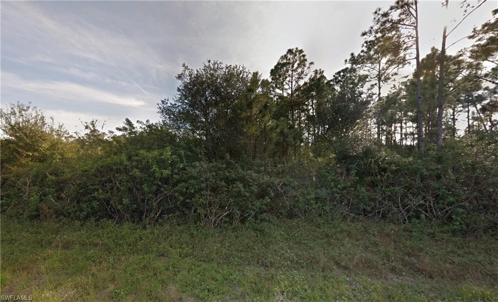 1238 Rake ST E LEHIGH ACRES, FL 33974