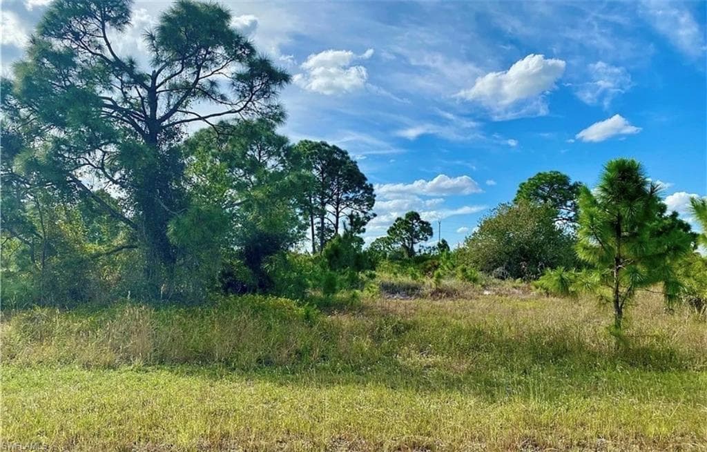 950 Kyle AVE LEHIGH ACRES, FL 33974