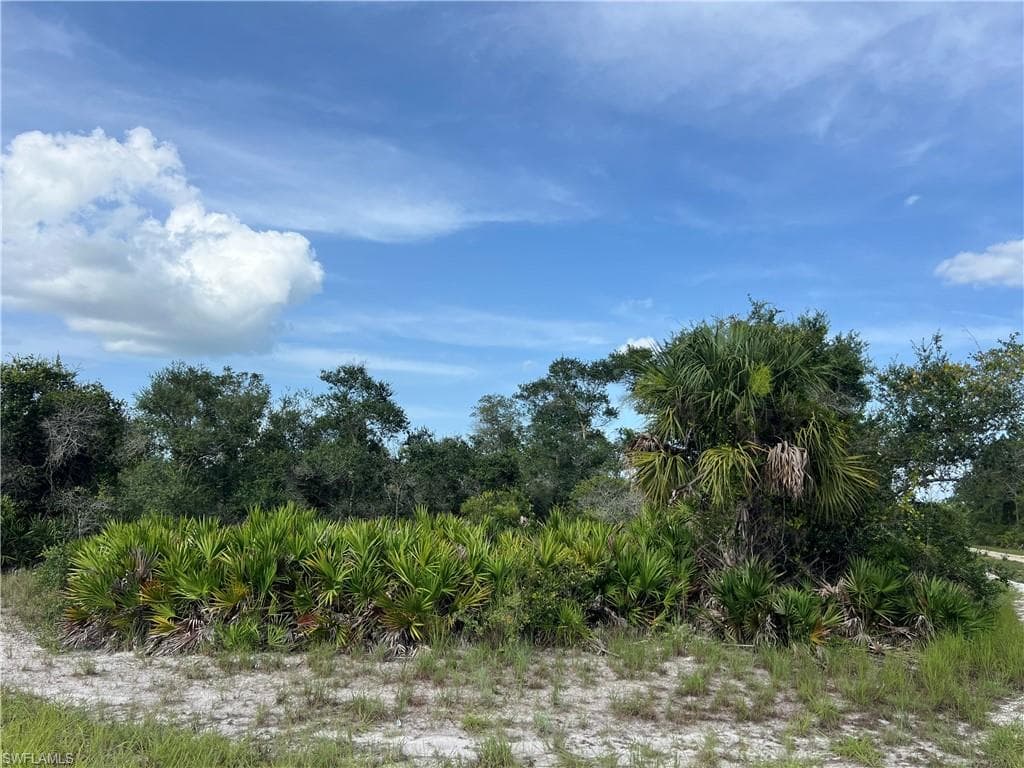 4183 E 27th ST ALVA, FL 33920