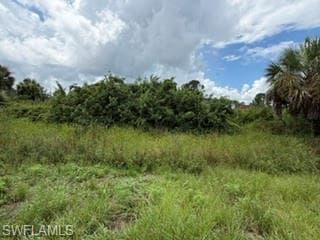 3507 28th ST SW LEHIGH ACRES, FL 33976