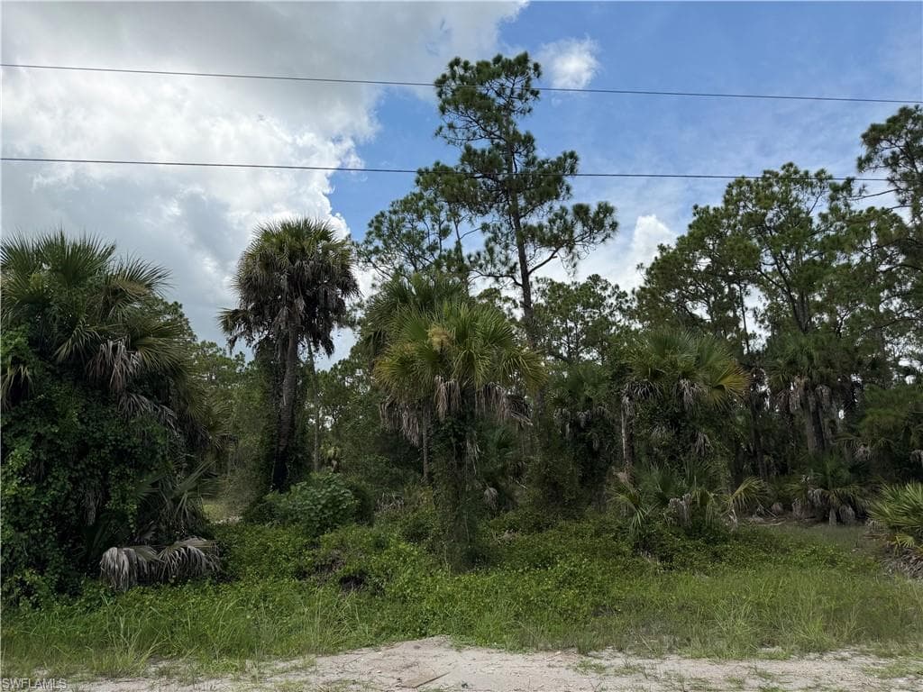 1723 Palmetto AVE LEHIGH ACRES, FL 33972