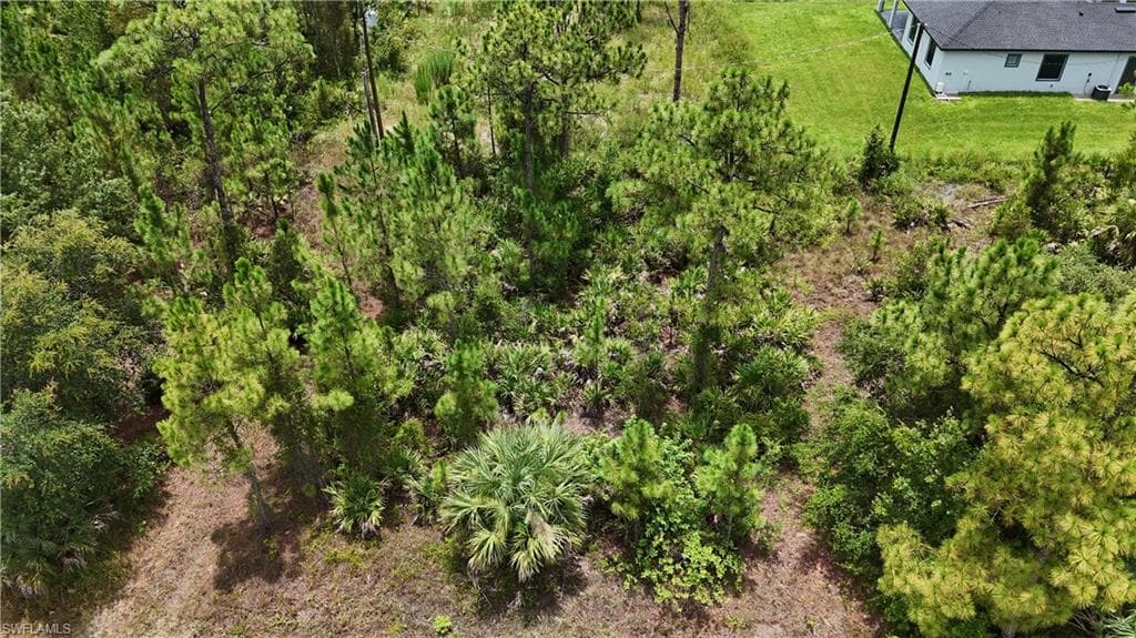 2402 E 10th ST LEHIGH ACRES, FL 33936