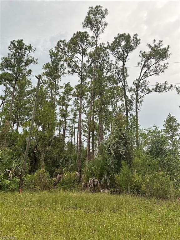 373/375 Greenbriar BLVD LEHIGH ACRES, FL 33972