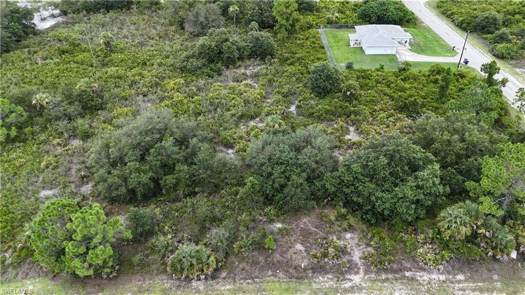 1321 Hibiscus AVE LEHIGH ACRES, FL 33972