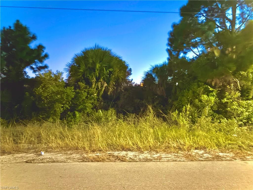 2909 67th ST W LEHIGH ACRES, FL 33971