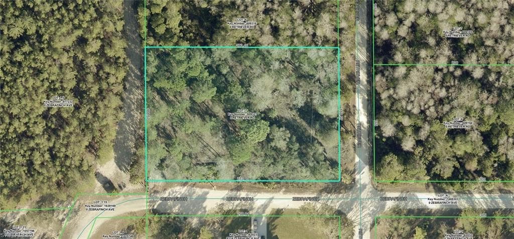 18429 Retriever RD WEEKI WACHEE, FL 34614
