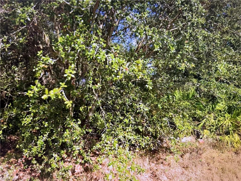 2504 61st ST W LEHIGH ACRES, FL 33971