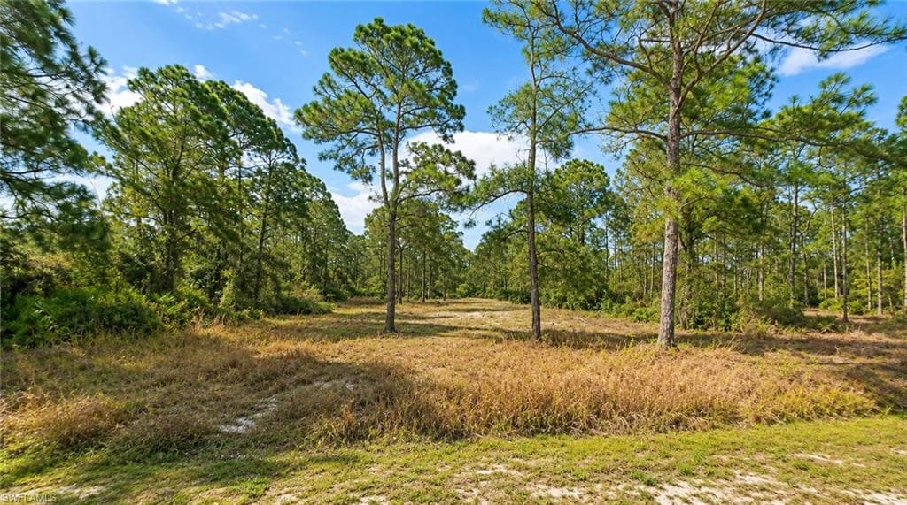 2206 Jefferson AVE ALVA, FL 33920