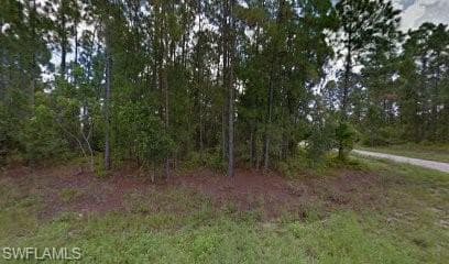 1019 Mexico AVE S LEHIGH ACRES, FL 33974
