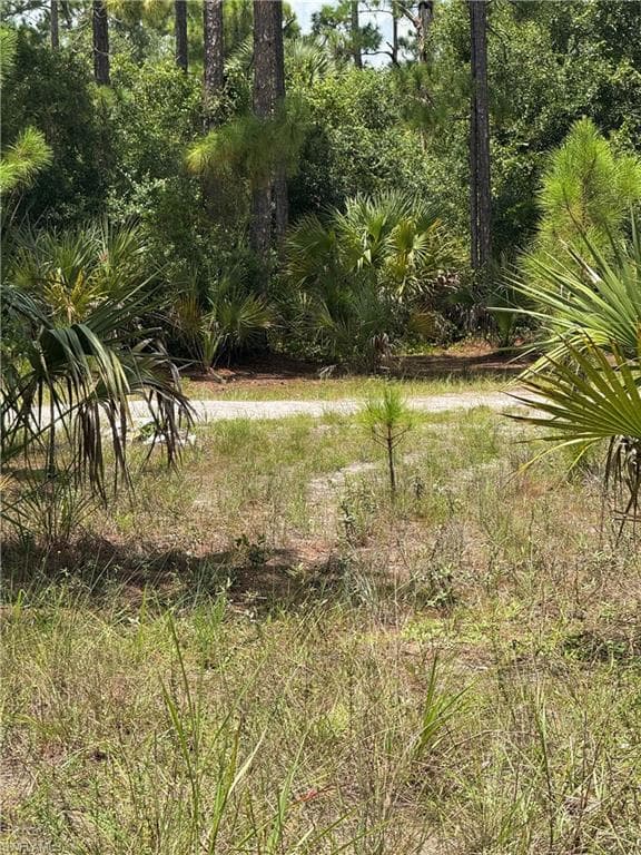 1011 Truman AVE LEHIGH ACRES, FL 33972