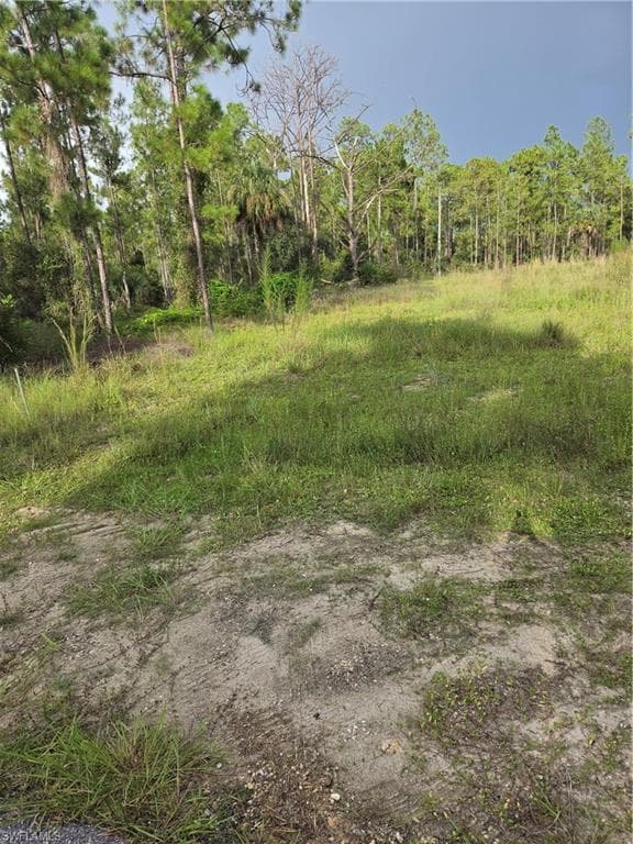 2310 Truman AVE ALVA, FL 33920