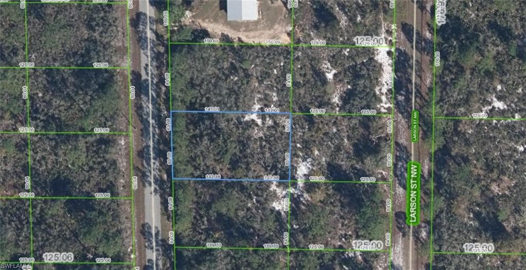 222 Marlin ST NW LAKE PLACID, FL 33852
