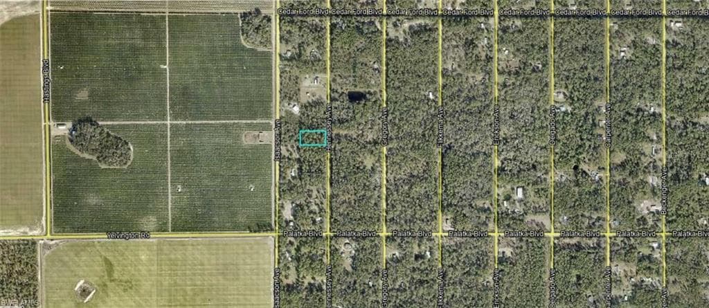 10515 Henessey AVE HASTINGS, FL 32145