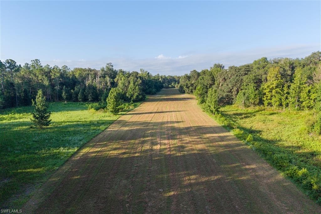 6301 County Road 316 CITRA, FL 32113