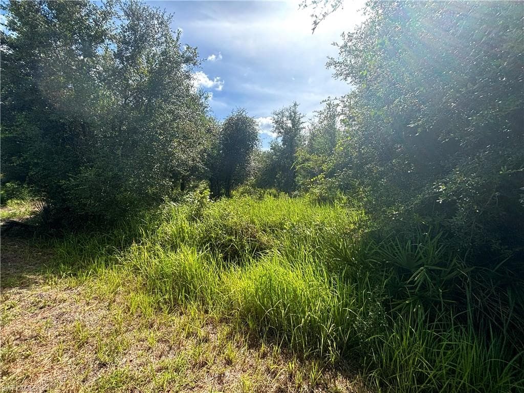 809 5th AVE E LEHIGH ACRES, FL 33972