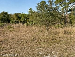 7933 15th TER LABELLE, FL 33935