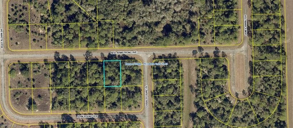 231 Neil Armstrong AVE LABELLE, FL 33935
