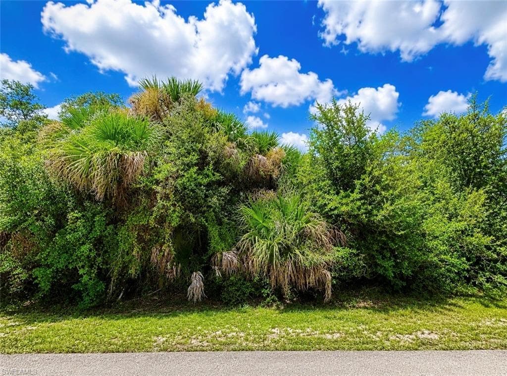1607 Truman AVE LEHIGH ACRES, FL 33972