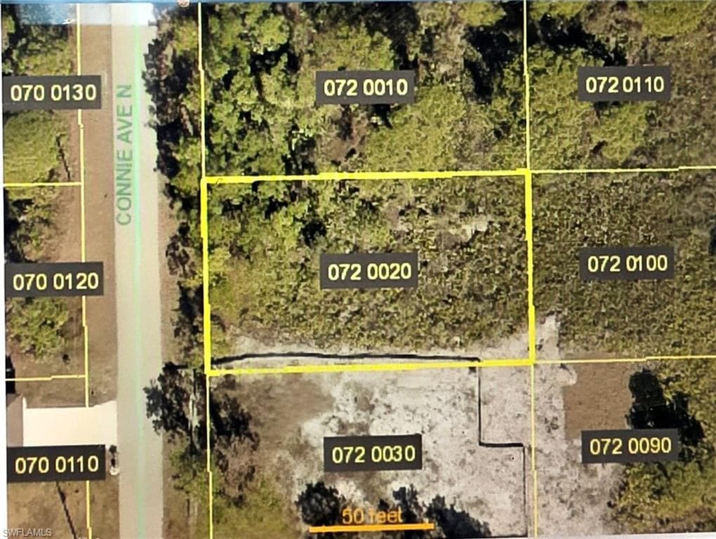 2920 Connie AVE N LEHIGH ACRES, FL 33971