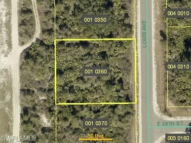 2801 Louis AVE ALVA, FL 33920