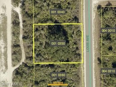 2803 Louis AVE ALVA, FL 33920