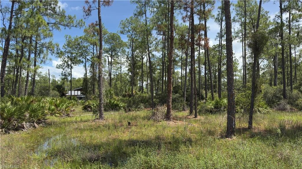 2210 Truman AVE ALVA, FL 33920