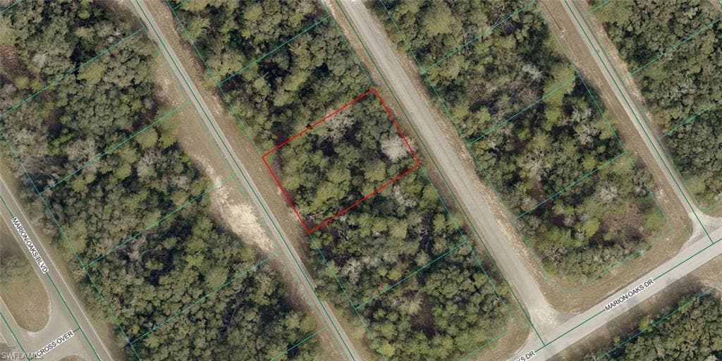 8001-0252-13 Alley RD OCALA, FL 34473