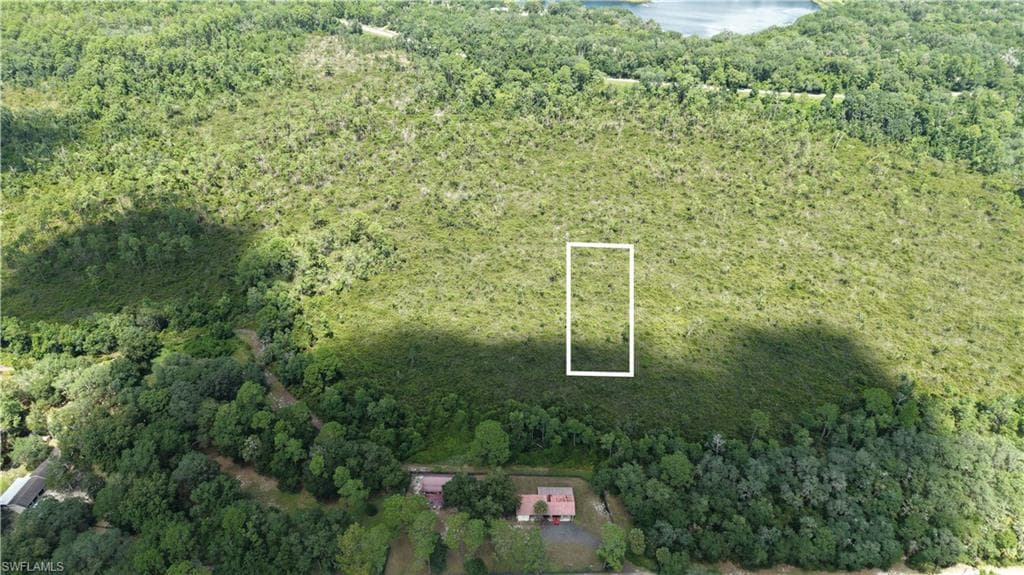 Crocus LN HAWTHORNE, FL 32640