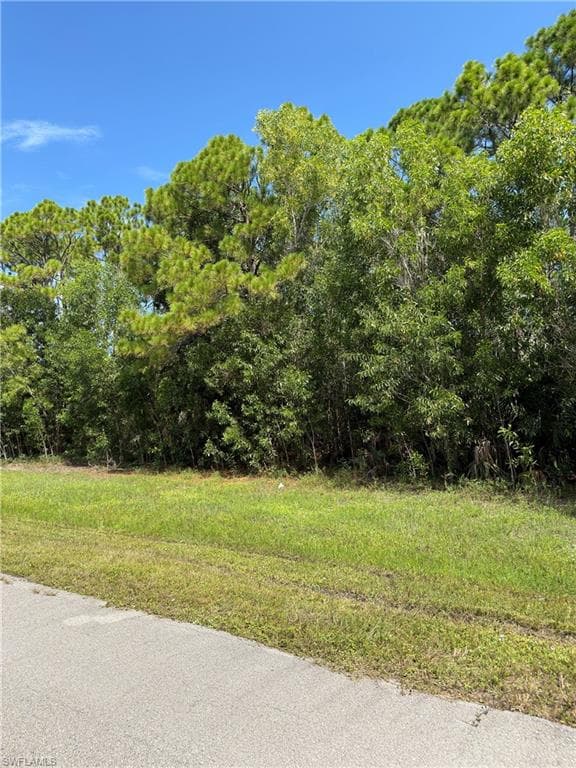 3911 NW 45th ST CAPE CORAL, FL 33993