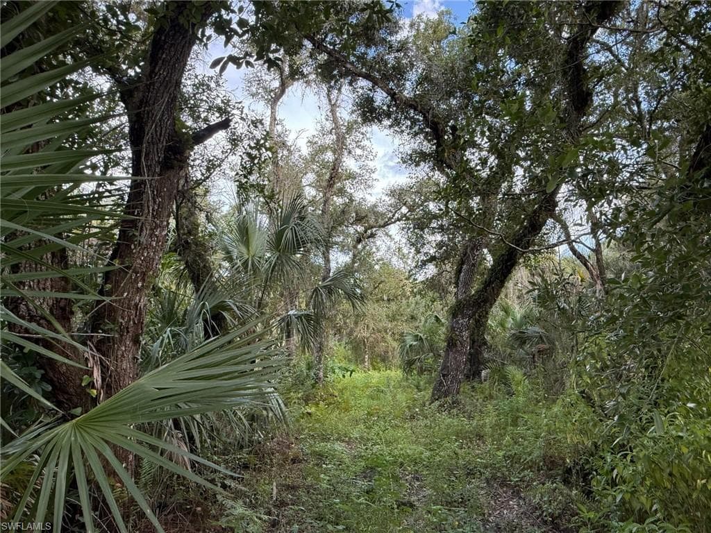 43026 L28 CANAL RD IMMOKALEE, FL 34142