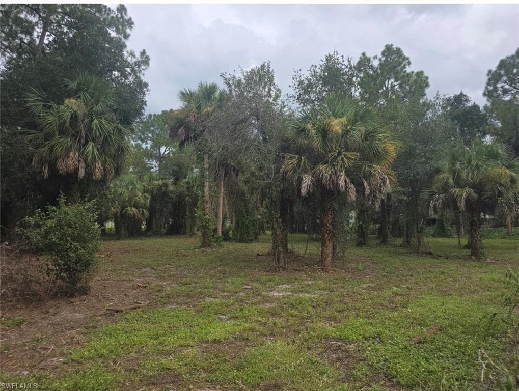 1175 Flamingo AVE CLEWISTON, FL 33440