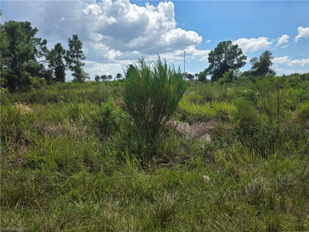 3046 Meadow RD LEHIGH ACRES, FL 33974