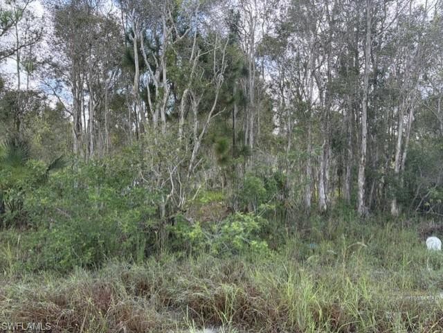 721 Bluebird AVE LEHIGH ACRES, FL 33974