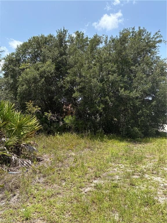 2521 68TH LEHIGH ACRES, FL 33971