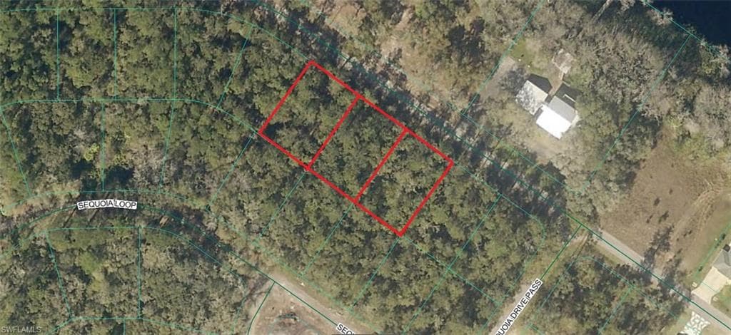 0 Sequoia DR OCKLAWAHA, FL 32179