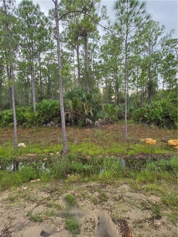 2311 Truman AVE ALVA, FL 33920