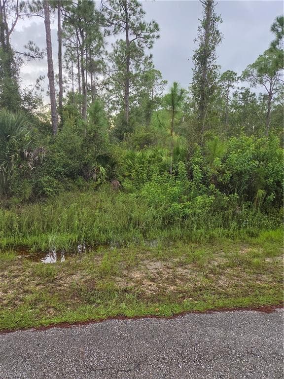 2303 Truman AVE ALVA, FL 33920