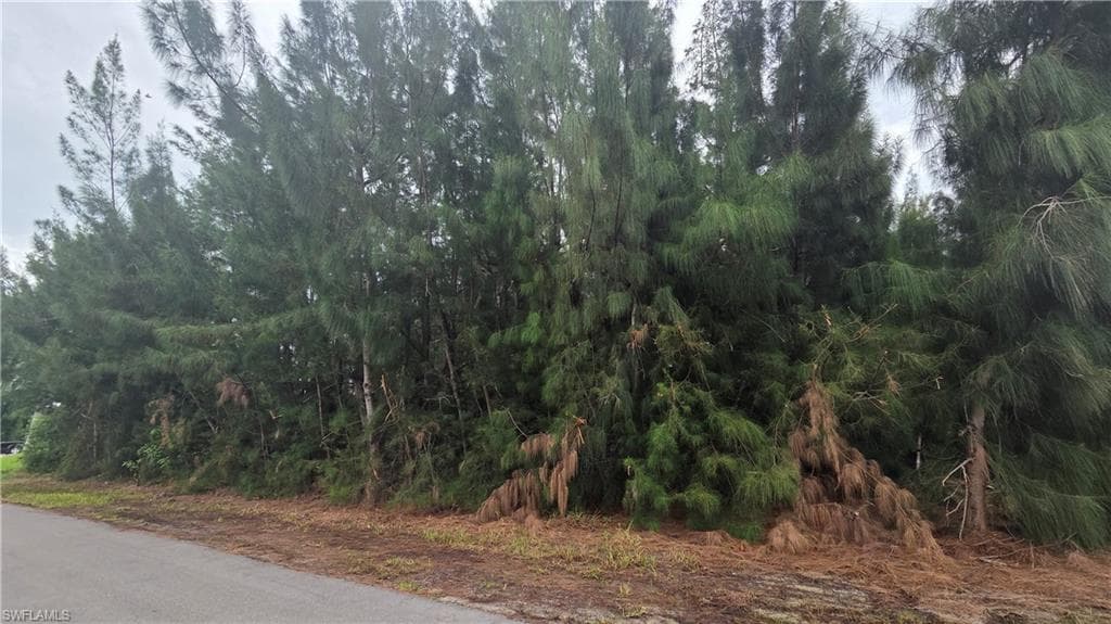 1121 NW 24th PL CAPE CORAL, FL 33993