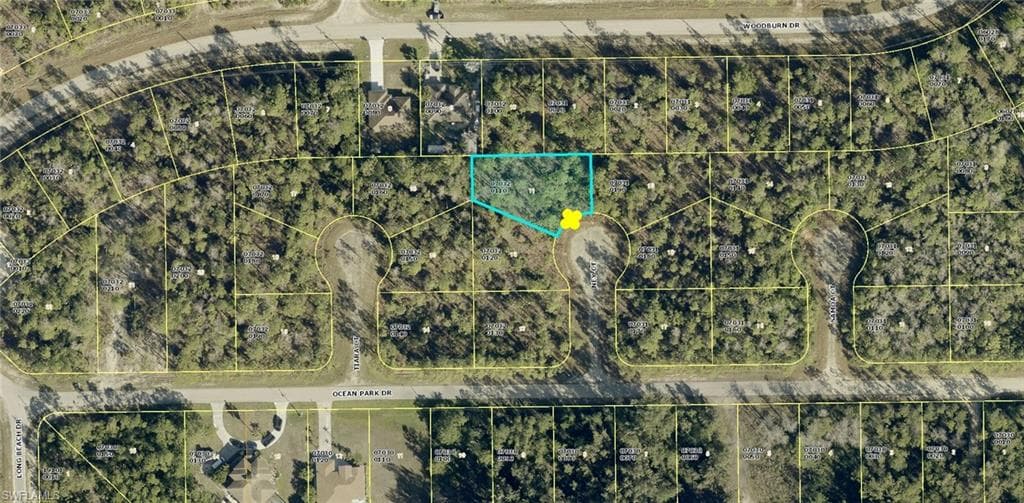 1905 Ney CT LEHIGH ACRES, FL 33972