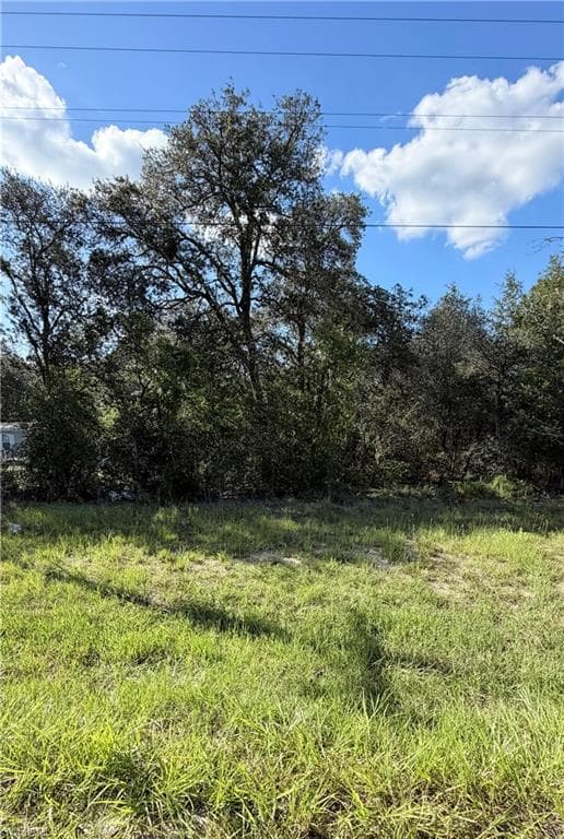 NE 106th TER WILLISTON, FL 32621