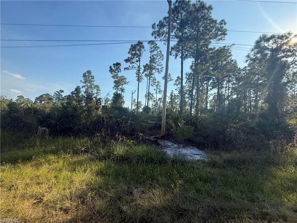 1086 Ainsworth ST E LEHIGH ACRES, FL 33974