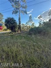 1090 Ainsworth ST E LEHIGH ACRES, FL 33974