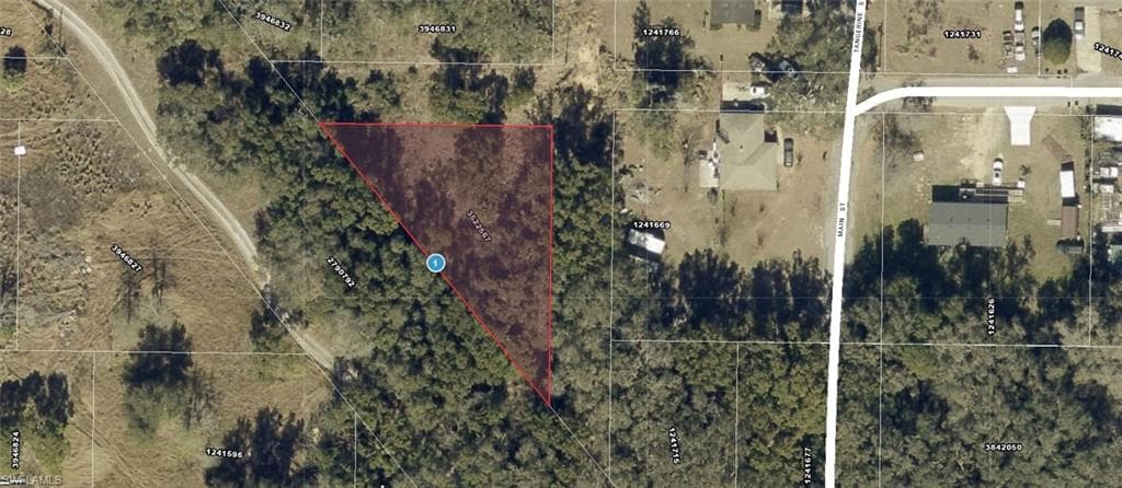 xxx Tangerine ST YALAHA, FL 34797