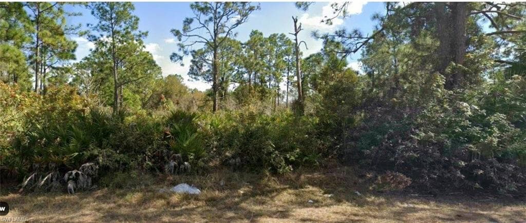 1016 Williams AVE LEHIGH ACRES, FL 33972