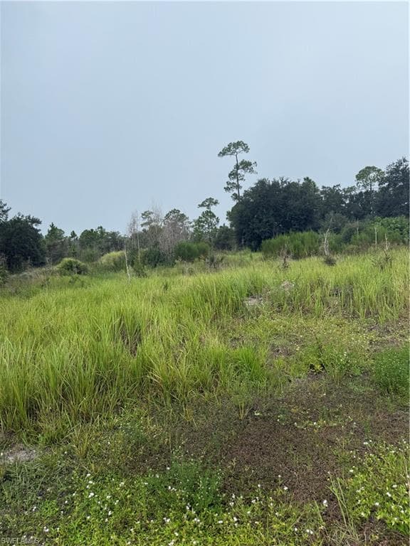 1005 Michael AVE LEHIGH ACRES, FL 33936