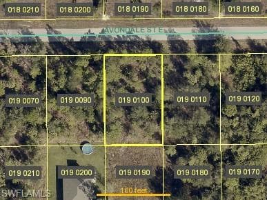 896 Avondale ST E LEHIGH ACRES, FL 33974